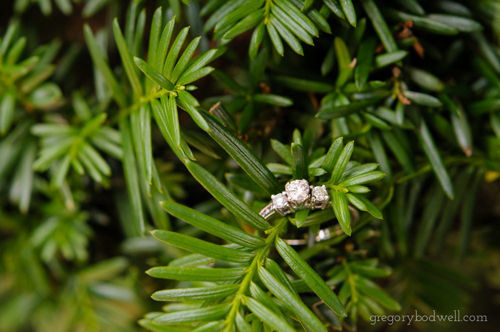 Centeno_Engagement_008.jpg