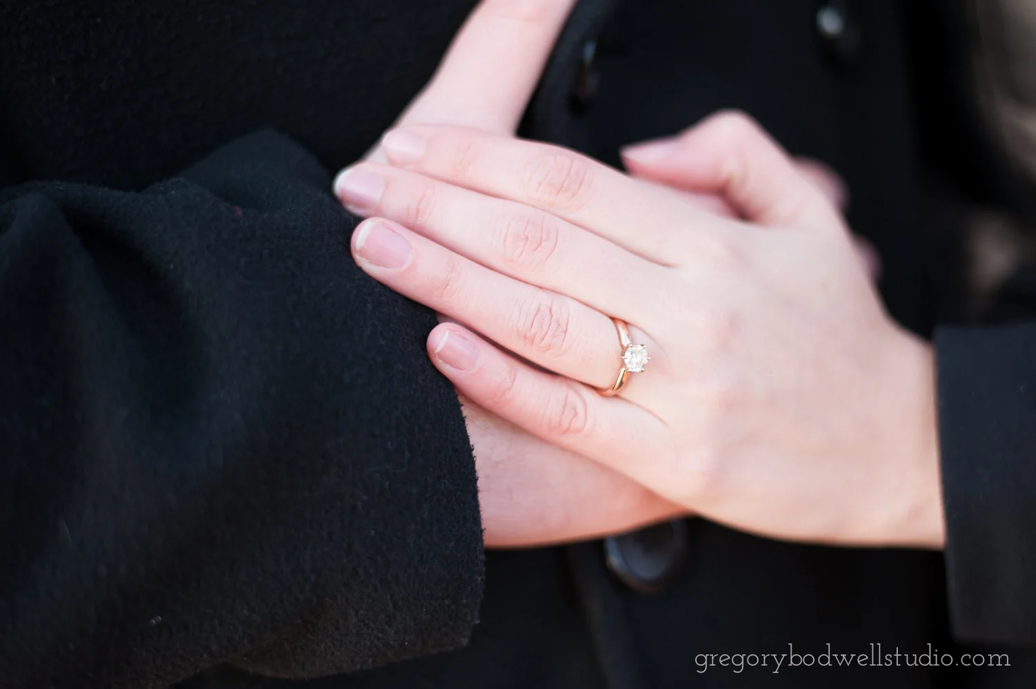 DiFilippo_Proposal_007.jpg