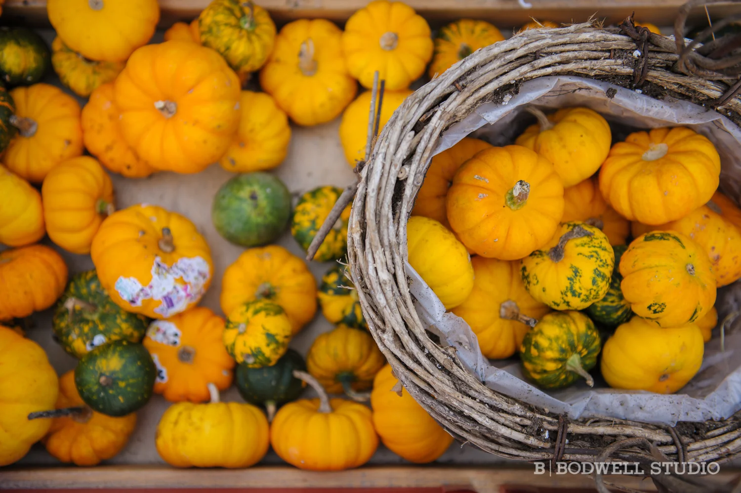Grounds_Engagement_Blog_004.jpg