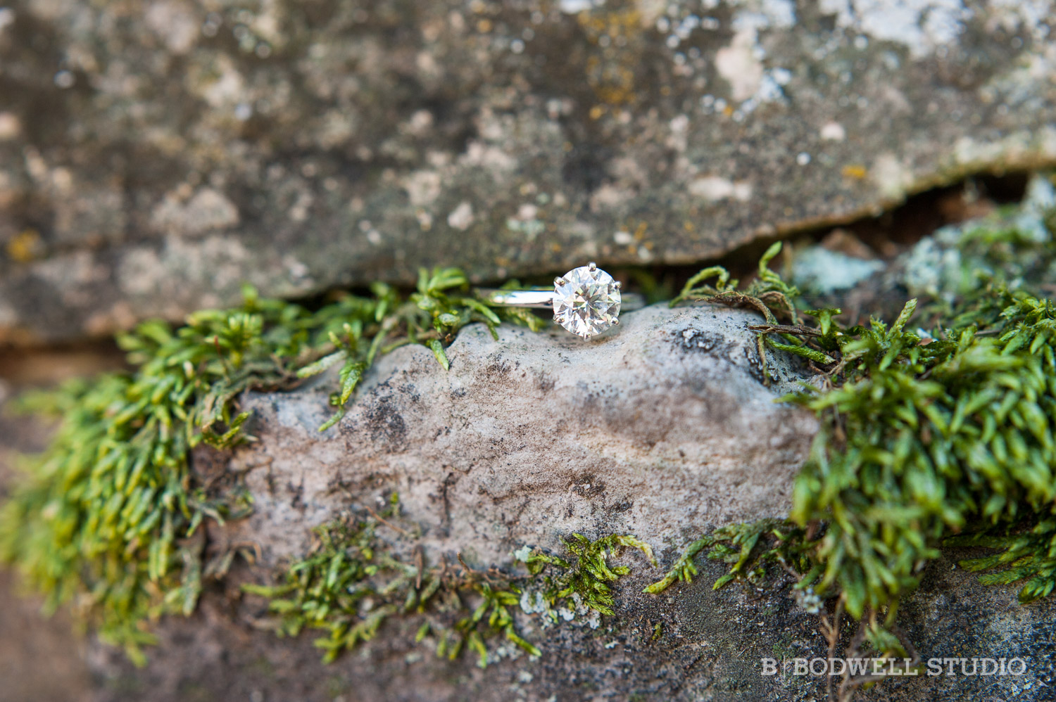 King_Fogle_Engagement_Blog_021.jpg