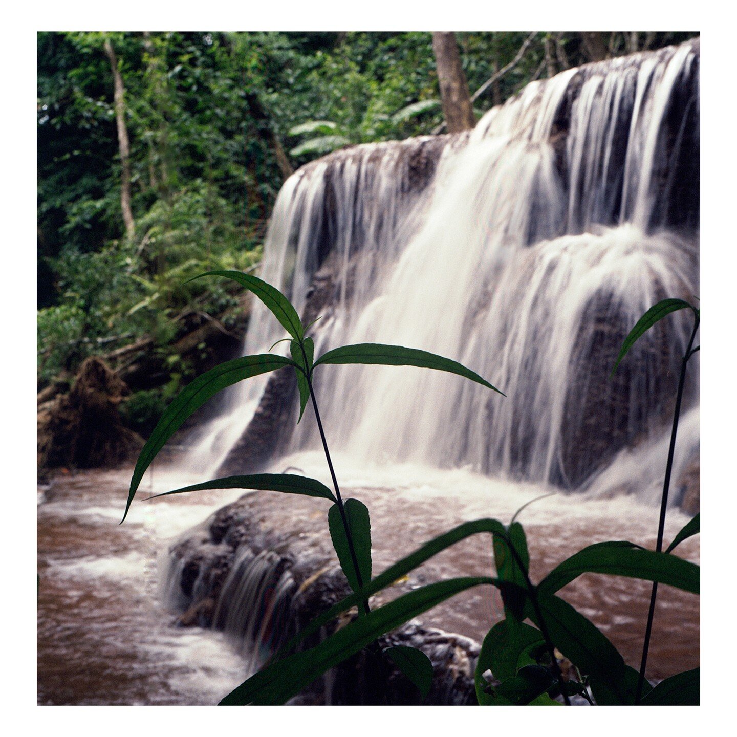 Waterfalls | Phop Phra District, Thailand

📷 Yashica Mat-124 G
🎞 Kodak Gold 200

#thailand #gold200 #kodakprofessional #shootfilm #filmisnotdead #staybrokeshootfilm #dcfilmcollective #mediumformat #yashica #yashicamat124g #120film