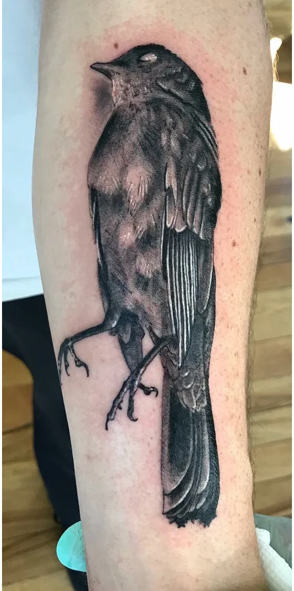Silver Lining Tattoo Studio Lancaster, PA Tattoo Shop
