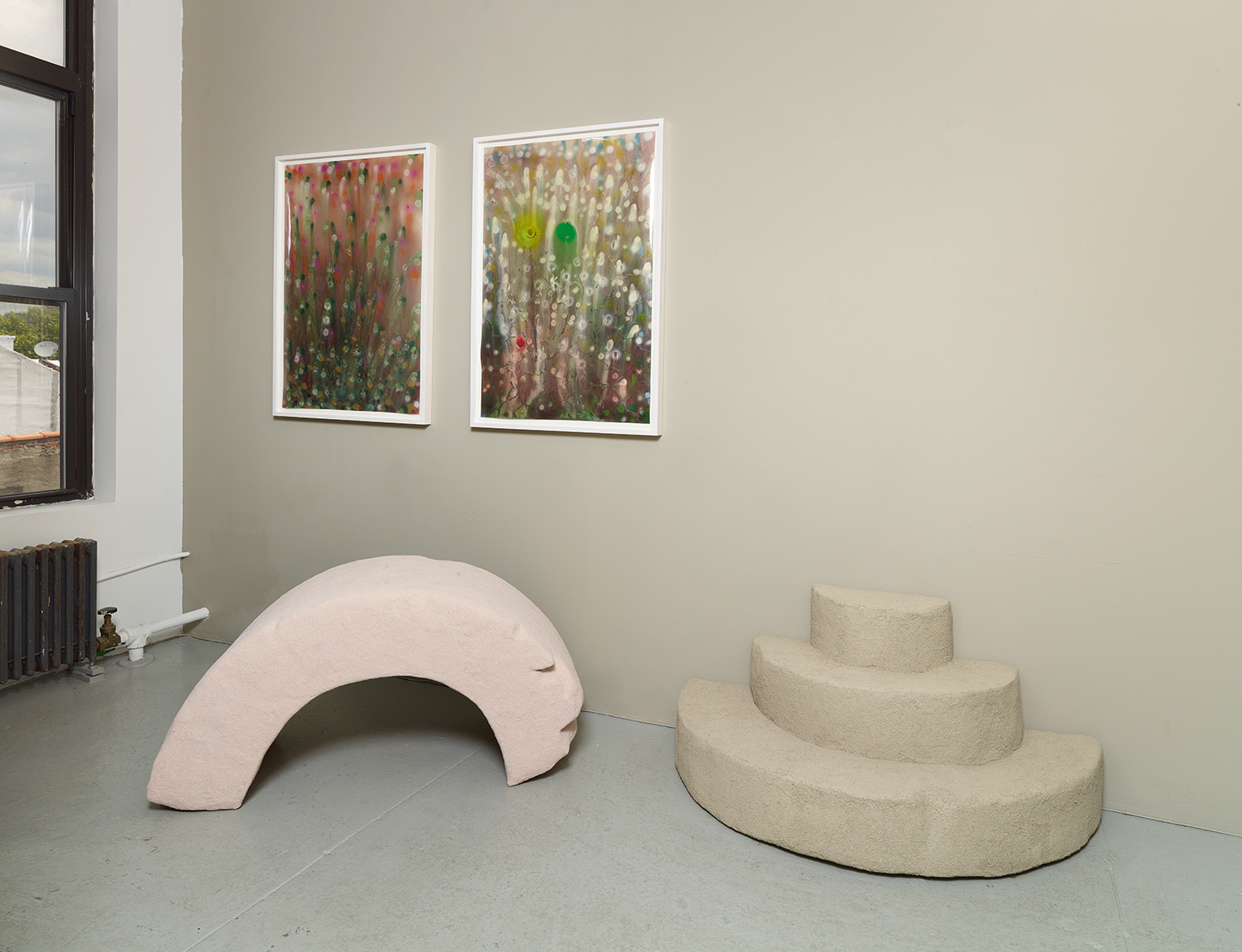 Installation view showing paintings on duralar by Giacinto Occhionero and sculptures by Rachel Higgins