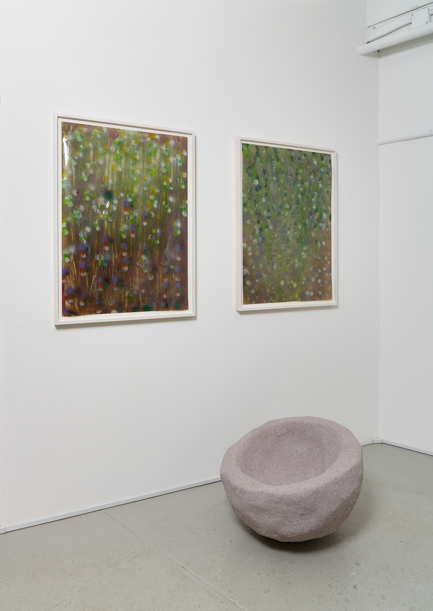 Installation view showing paintings on duralar by Giacinto Occhionero and sculptures by Rachel Higgins