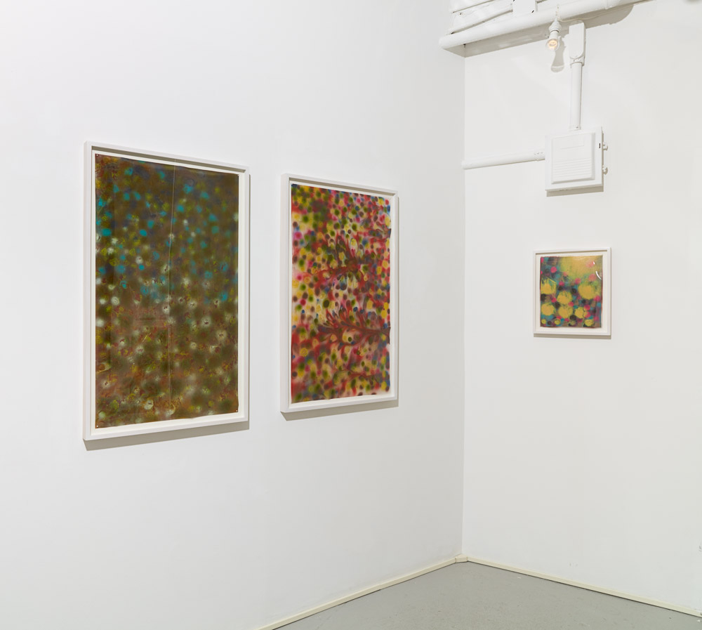 Installation view of Giacinto Occhionero 'Dot Series' showing framed paintings on dura-lar