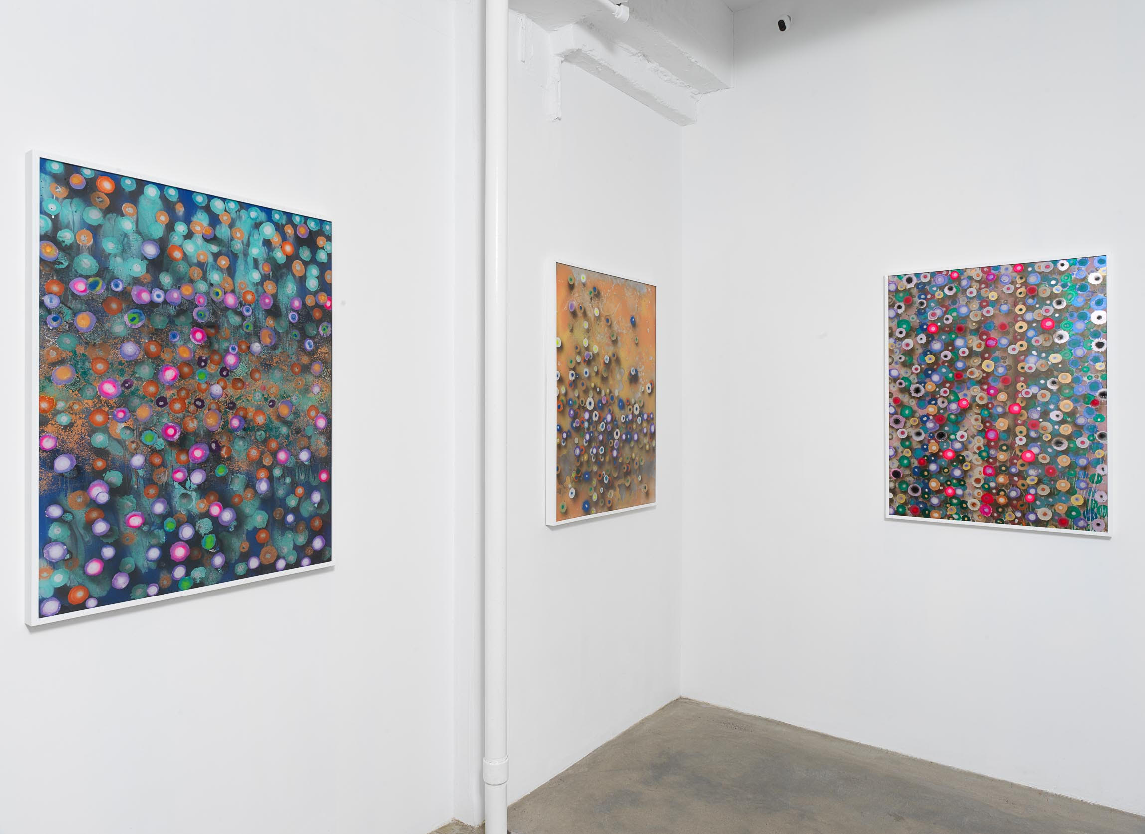 Installation view of Giacinto Occhionero's exhibition 'Tonic' showing paintings on plexiglass