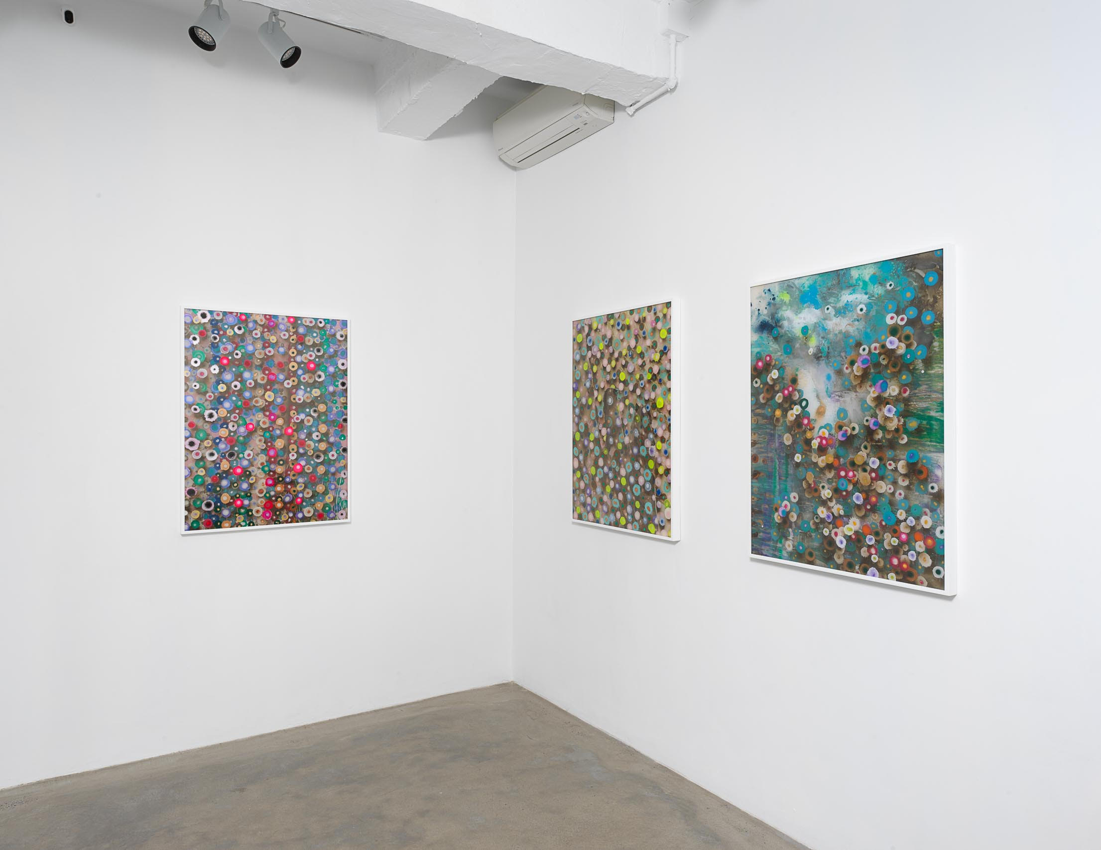 Installation view of Giacinto Occhionero's exhibition 'Tonic' showing paintings on plexiglass