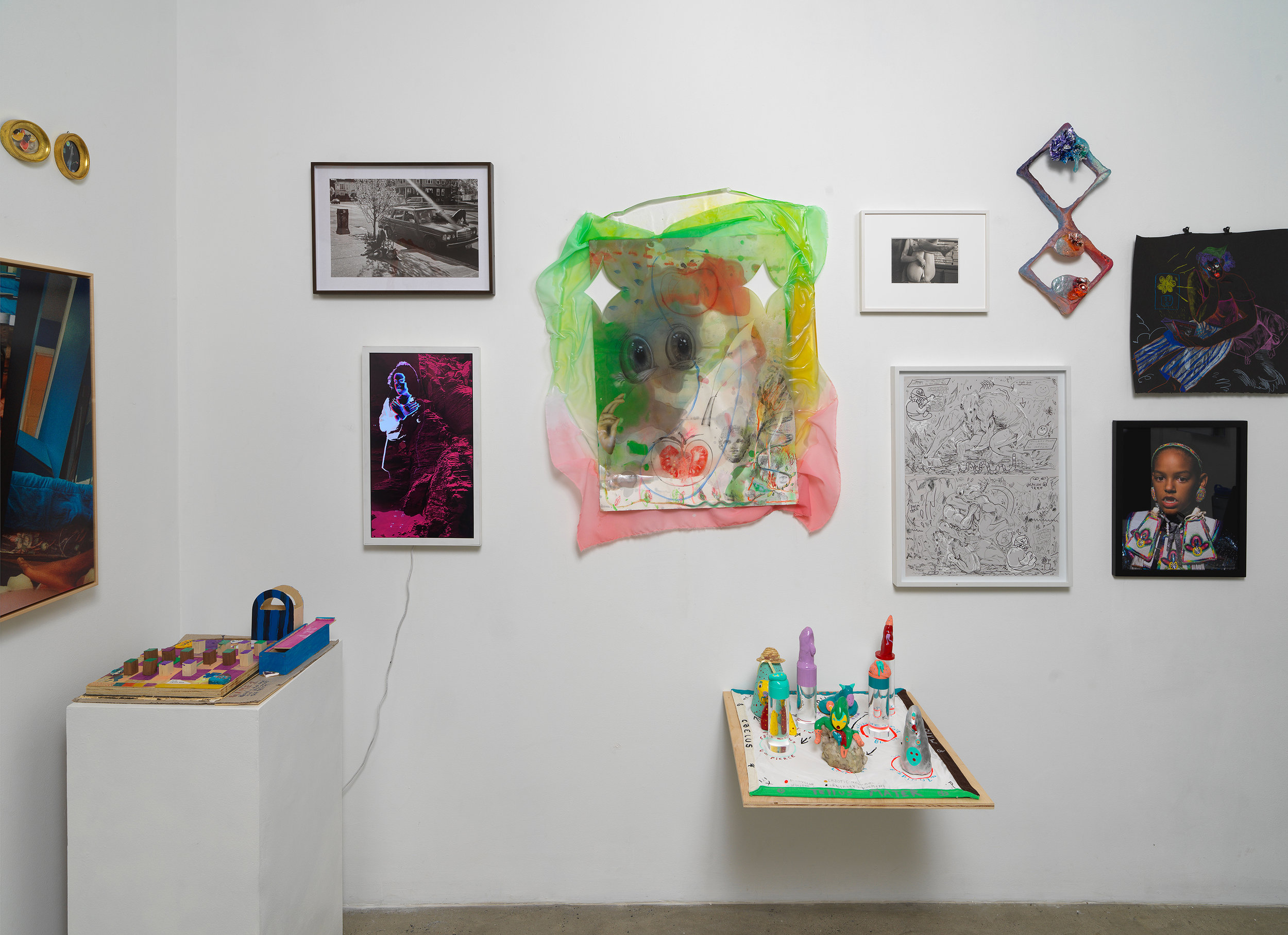 Installation view of 'Can You Dream It' featuring salon-style hanging of multimedia works by various artists, pedestal and shelf-based sculpture