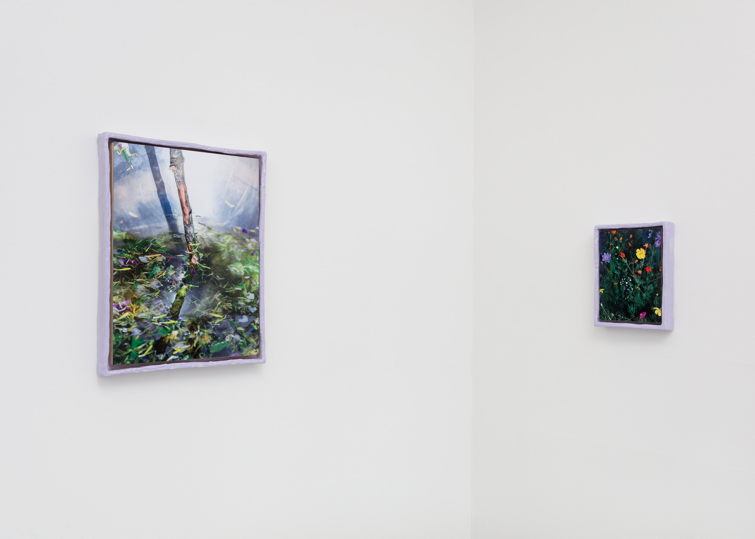 Michelle Loh's exhibition showing two Scott Alario photos in ceramic frames
