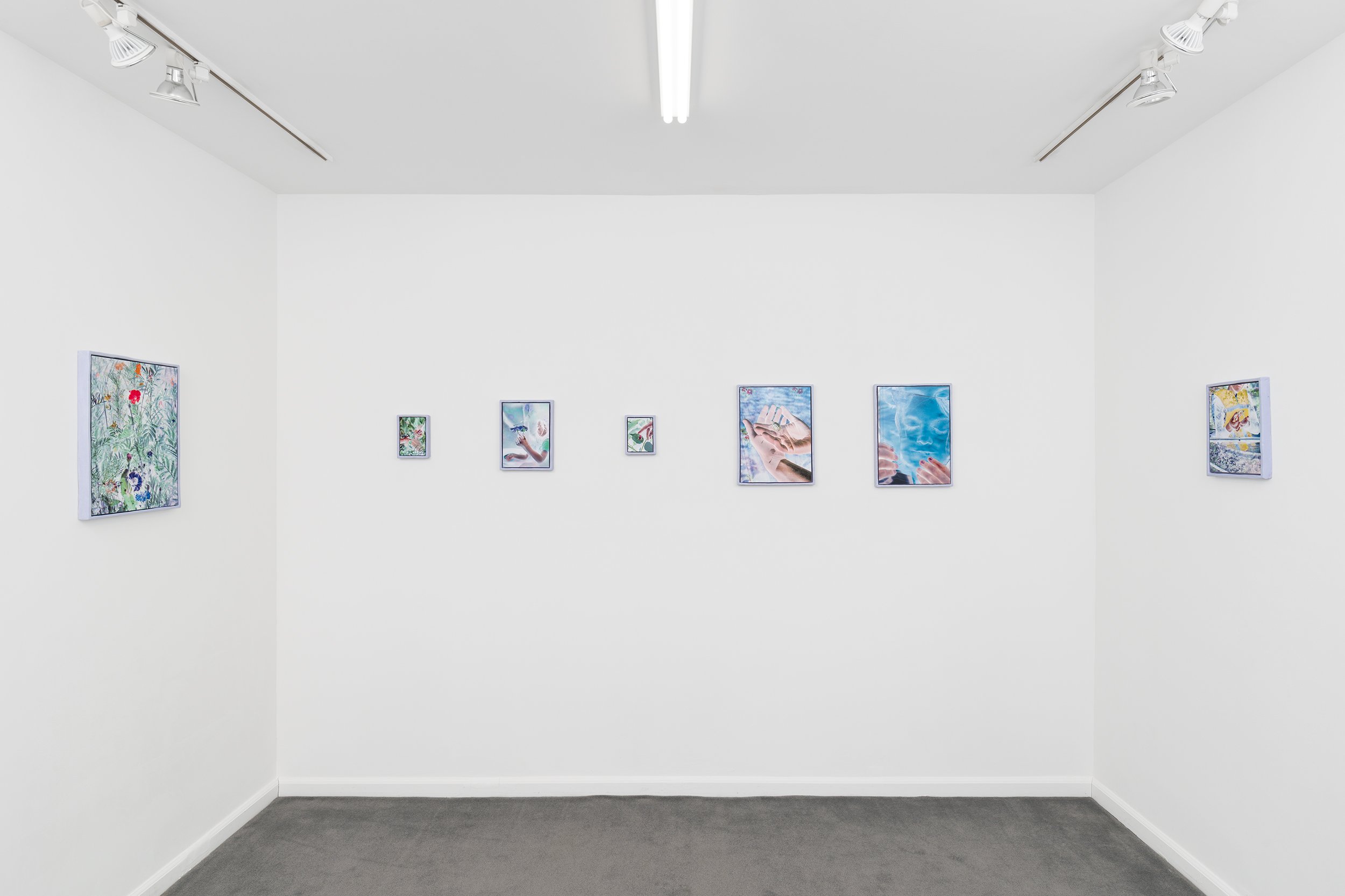 Scott Alario installation view 6.jpg