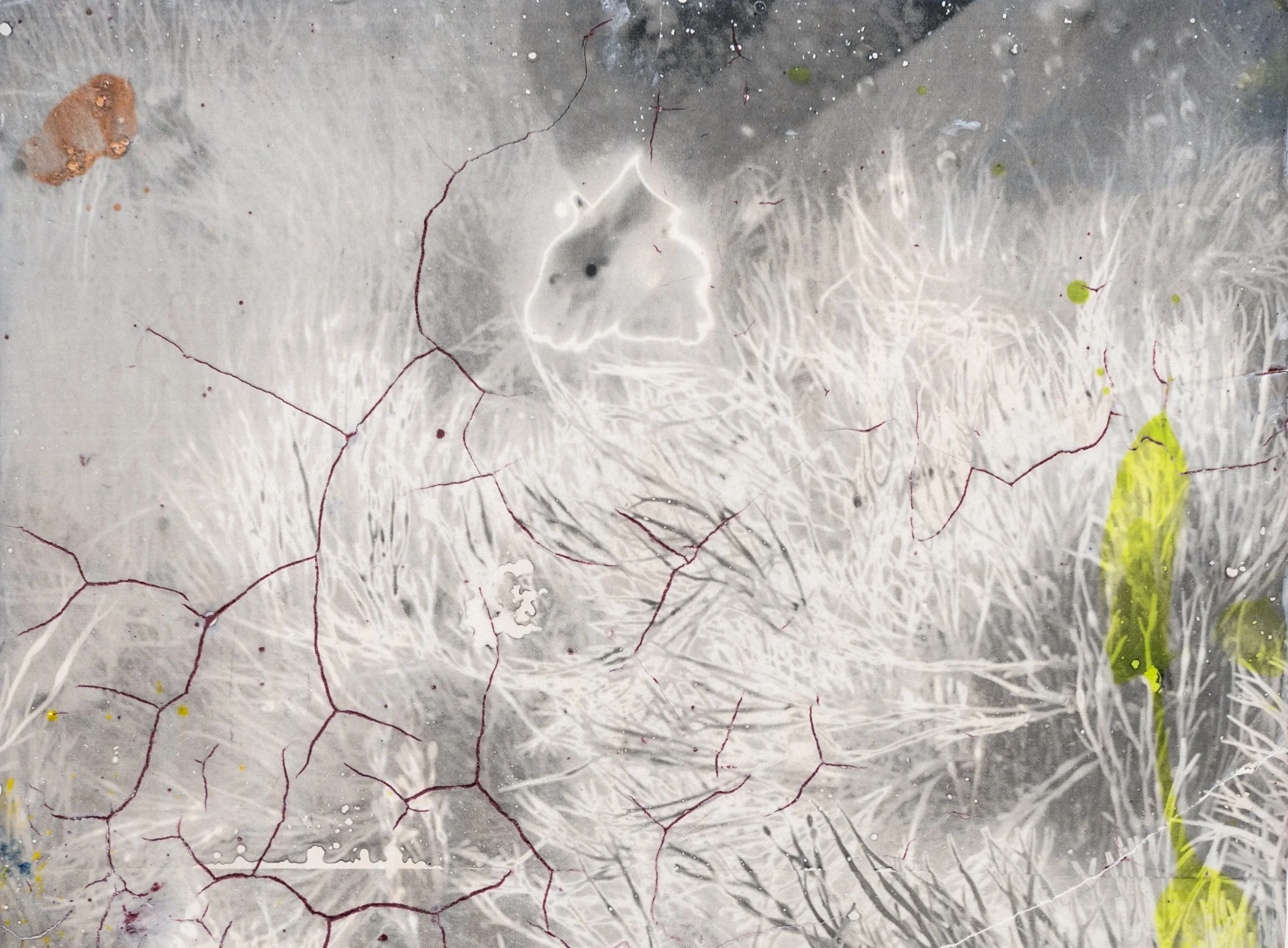 Landing page13_a_Scott Alario, Octopus_s Garden, 2025, photograph on ceramic, 19.25 x 14.25 x 1 in.jpg