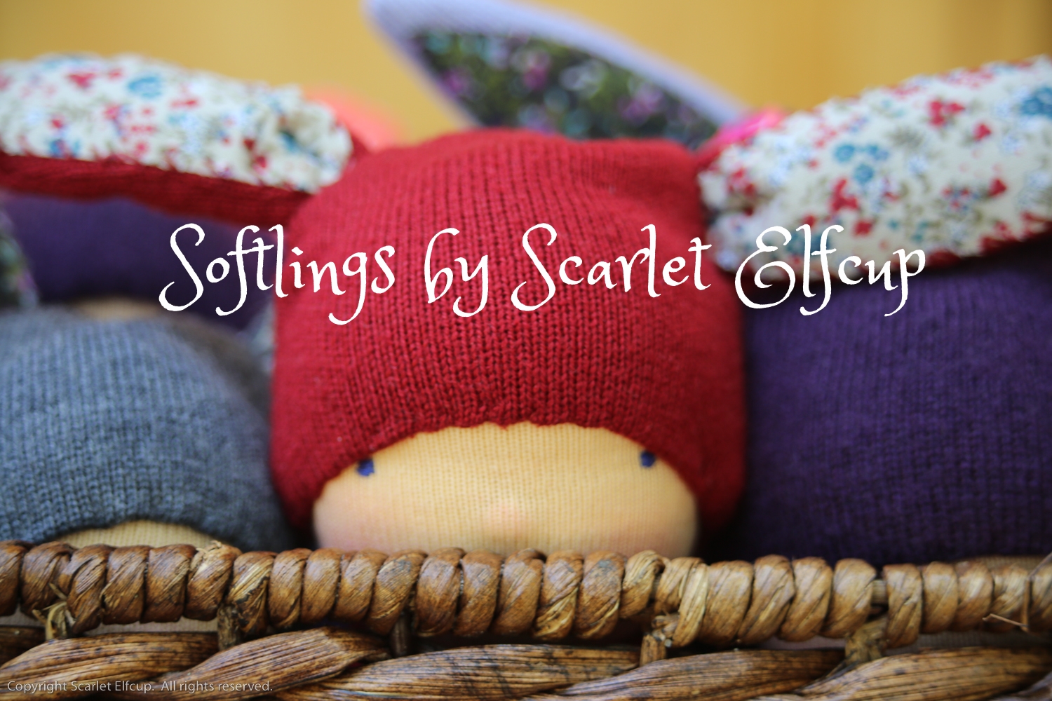 They were found this morning on our doorstep... To read more about the Softlings, please go here .