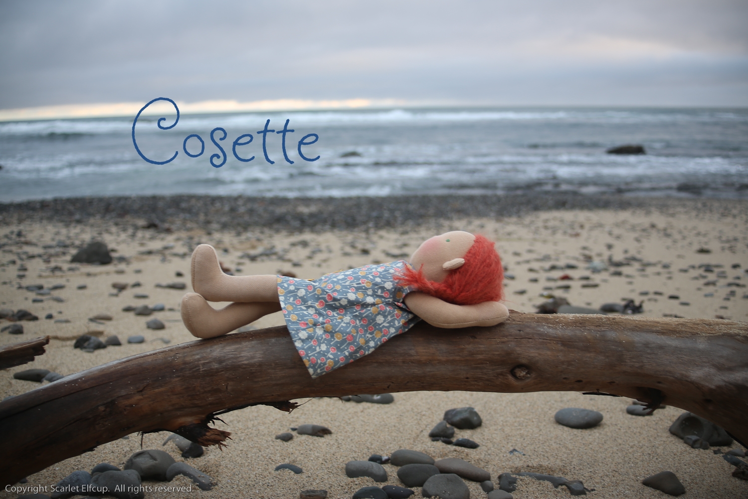 Cosette now resides in the state of Georgia with her loving mama. Read Cosette's Story .