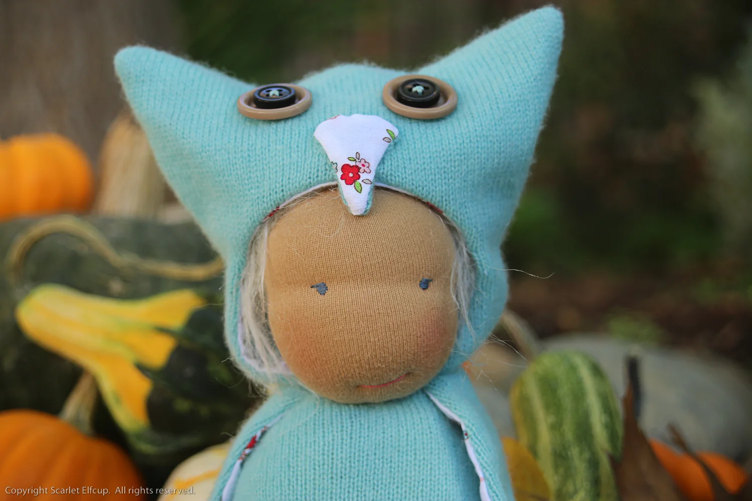 Owls and Kitties-15.jpg