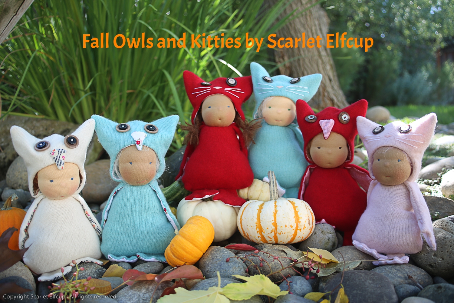 From left to right, meet Avery, Blue, Juliet, Jade, Boo and Rose. Read about each of these owls and kitties in the blog .