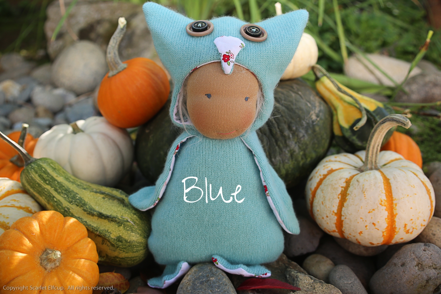 Blue now lives in Virginia with a sweet mama and baby boy.
