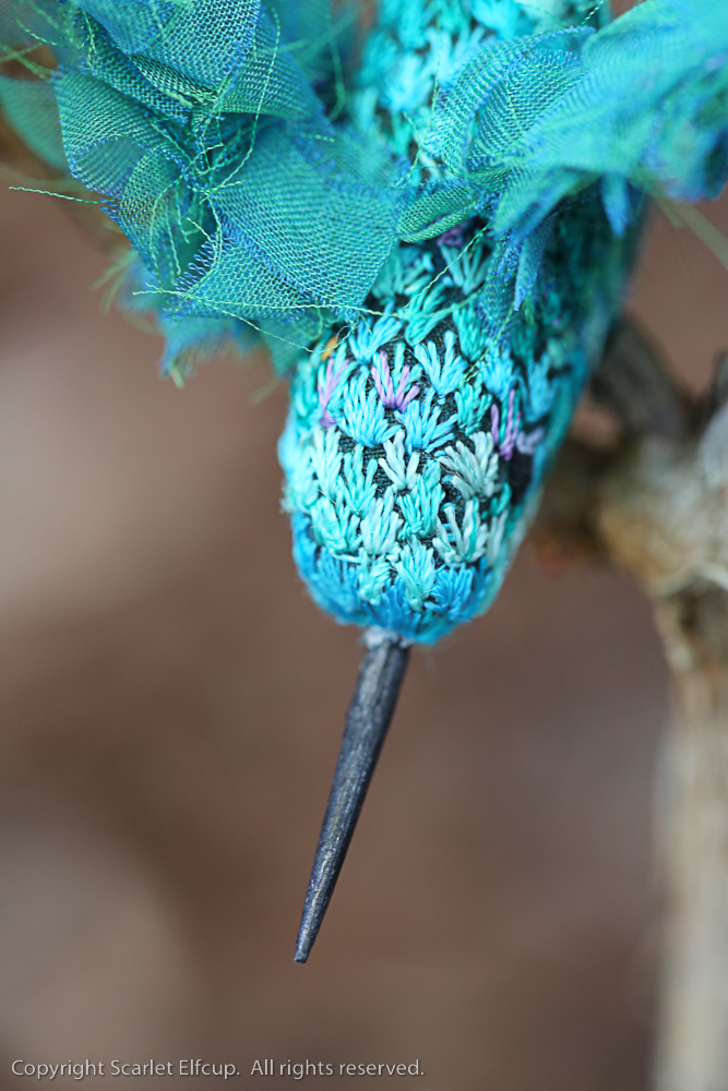 Hummingbird-75.jpg