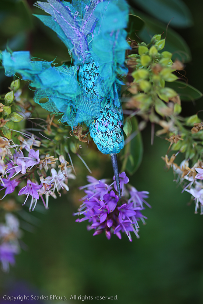 Hummingbird-73.jpg