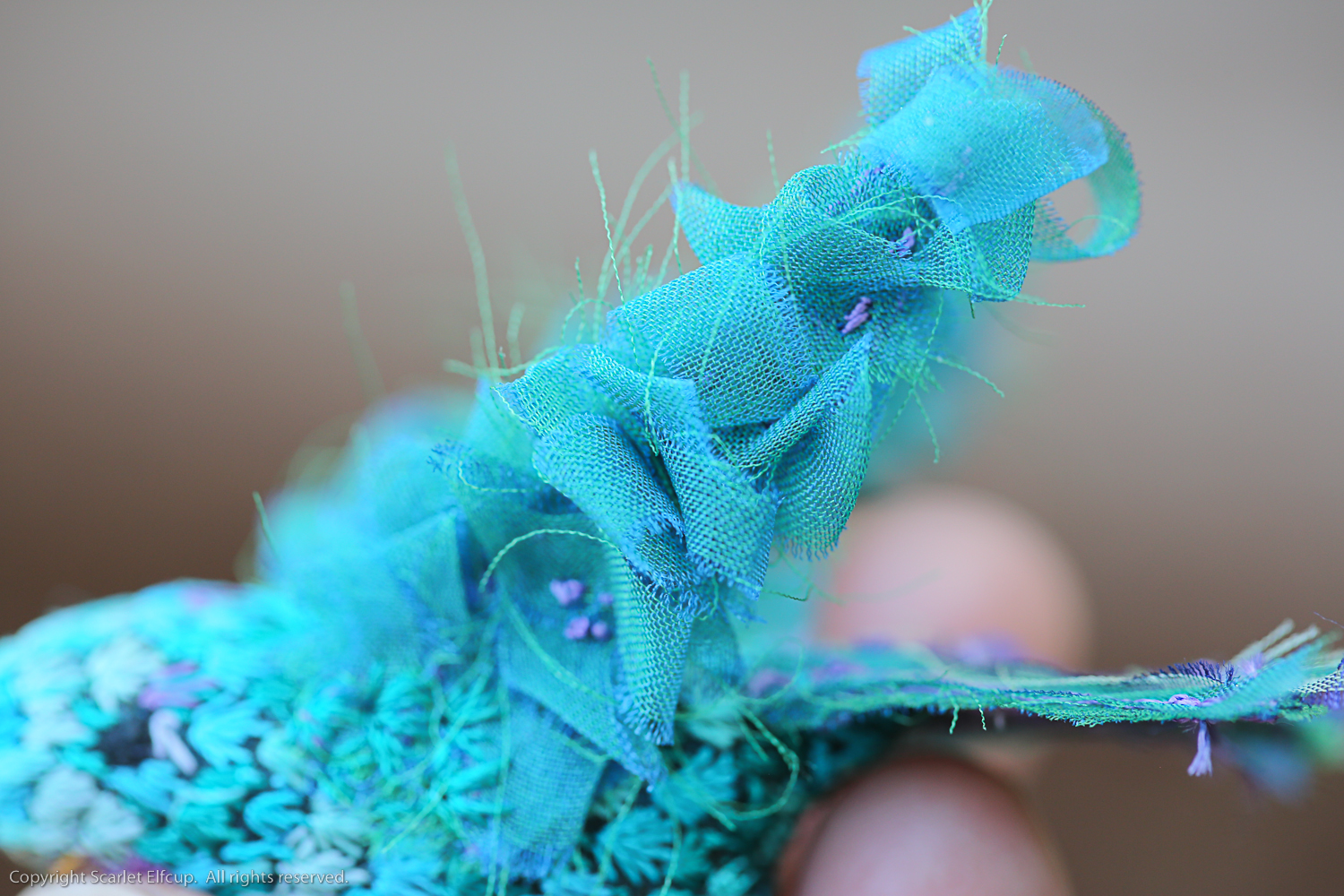 Hummingbird-81.jpg