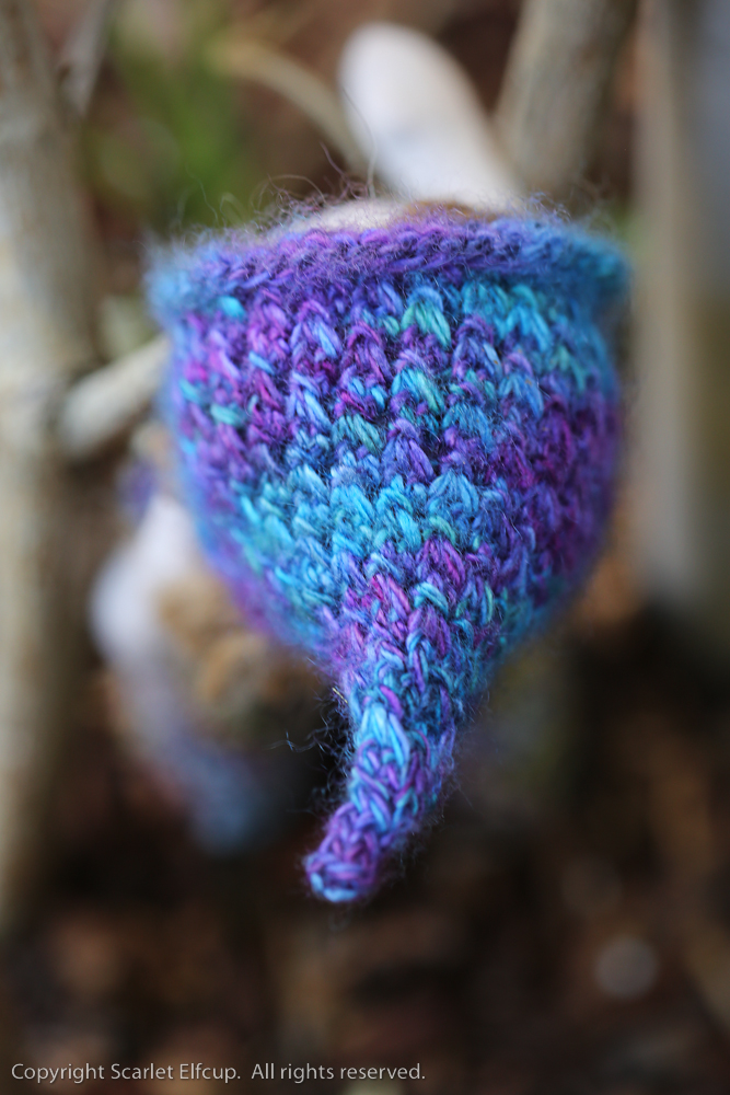 Hummingbird-101.jpg