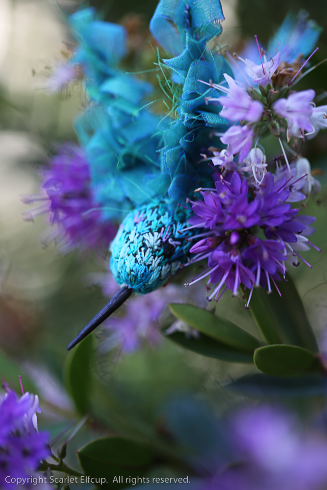 Hummingbird-113.jpg