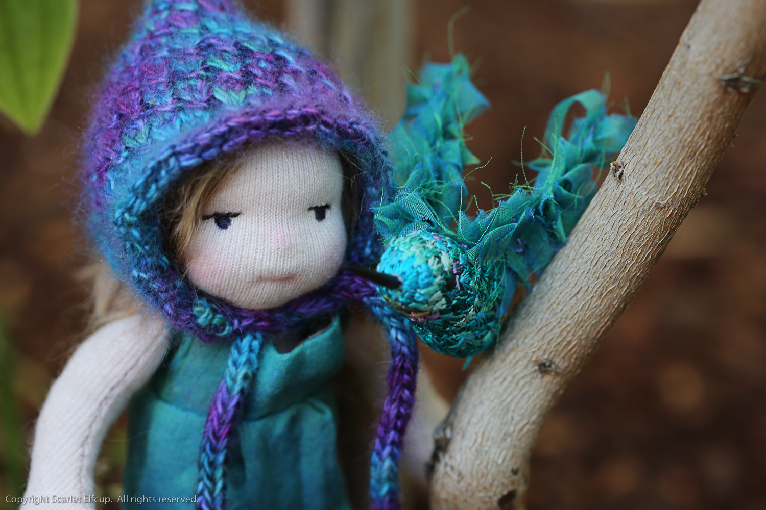 Hummingbird-117.jpg