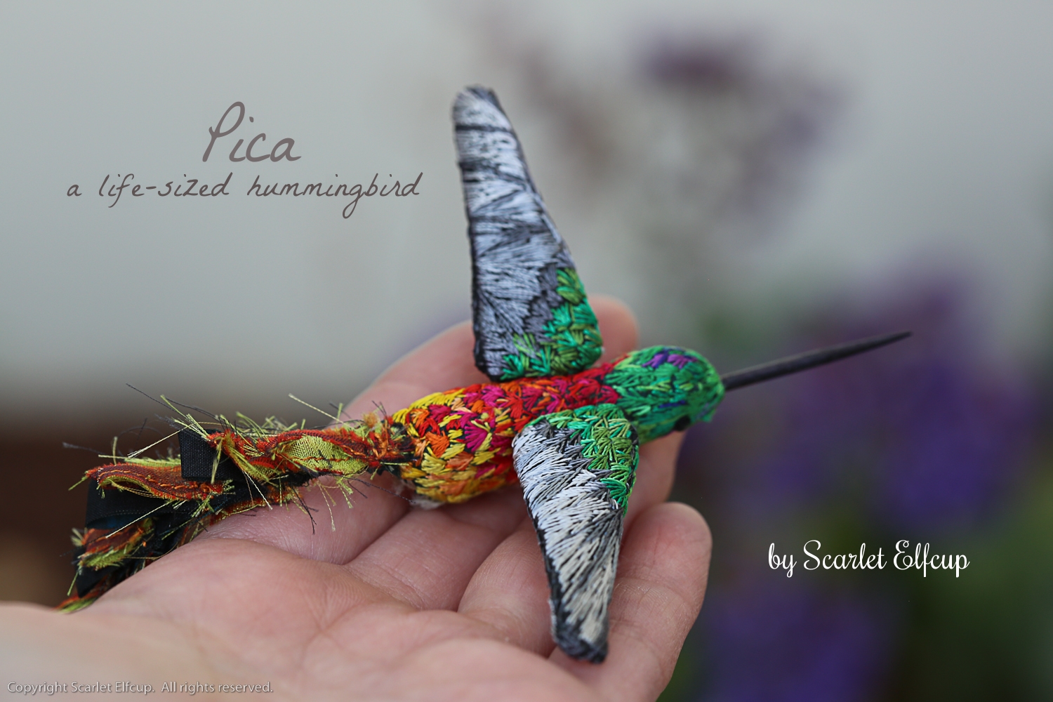 Pica has gone home to nest in Alabama. Learn more about Pica .