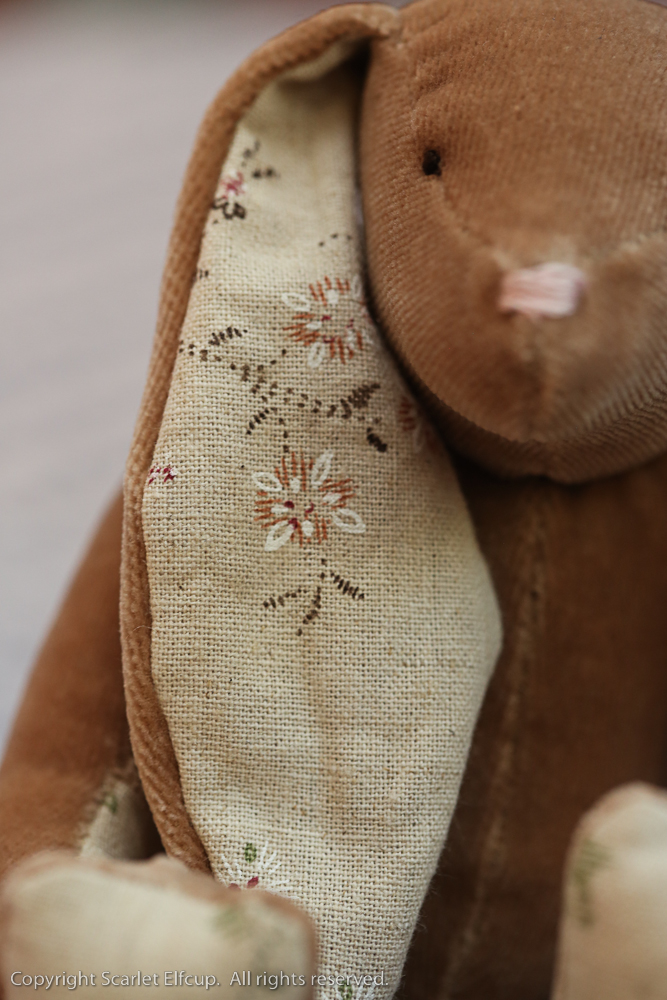 Baby Amandina-17.jpg