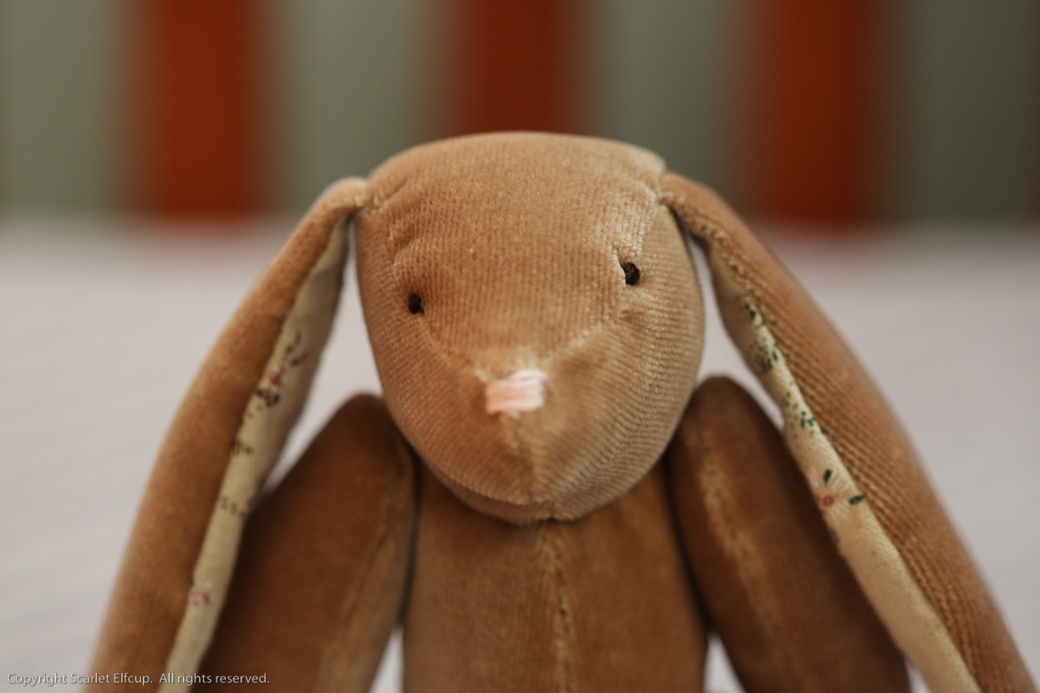 Baby Amandina-22.jpg