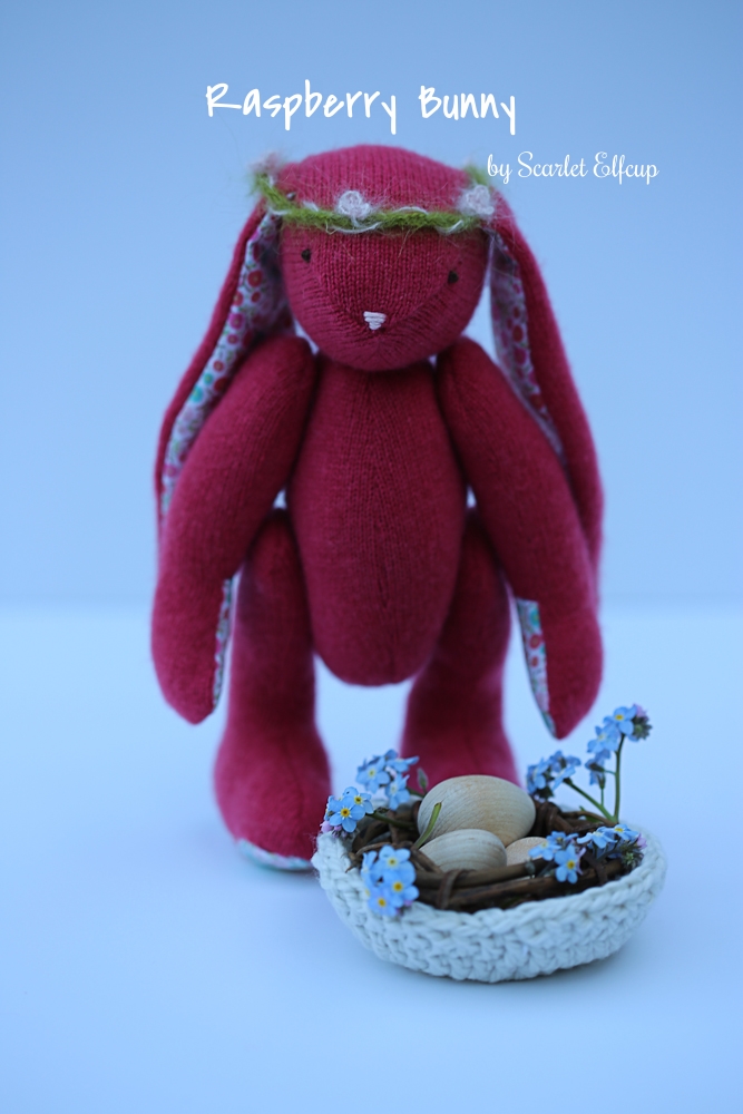 Raspberry Bunny Giveaway-1.jpg