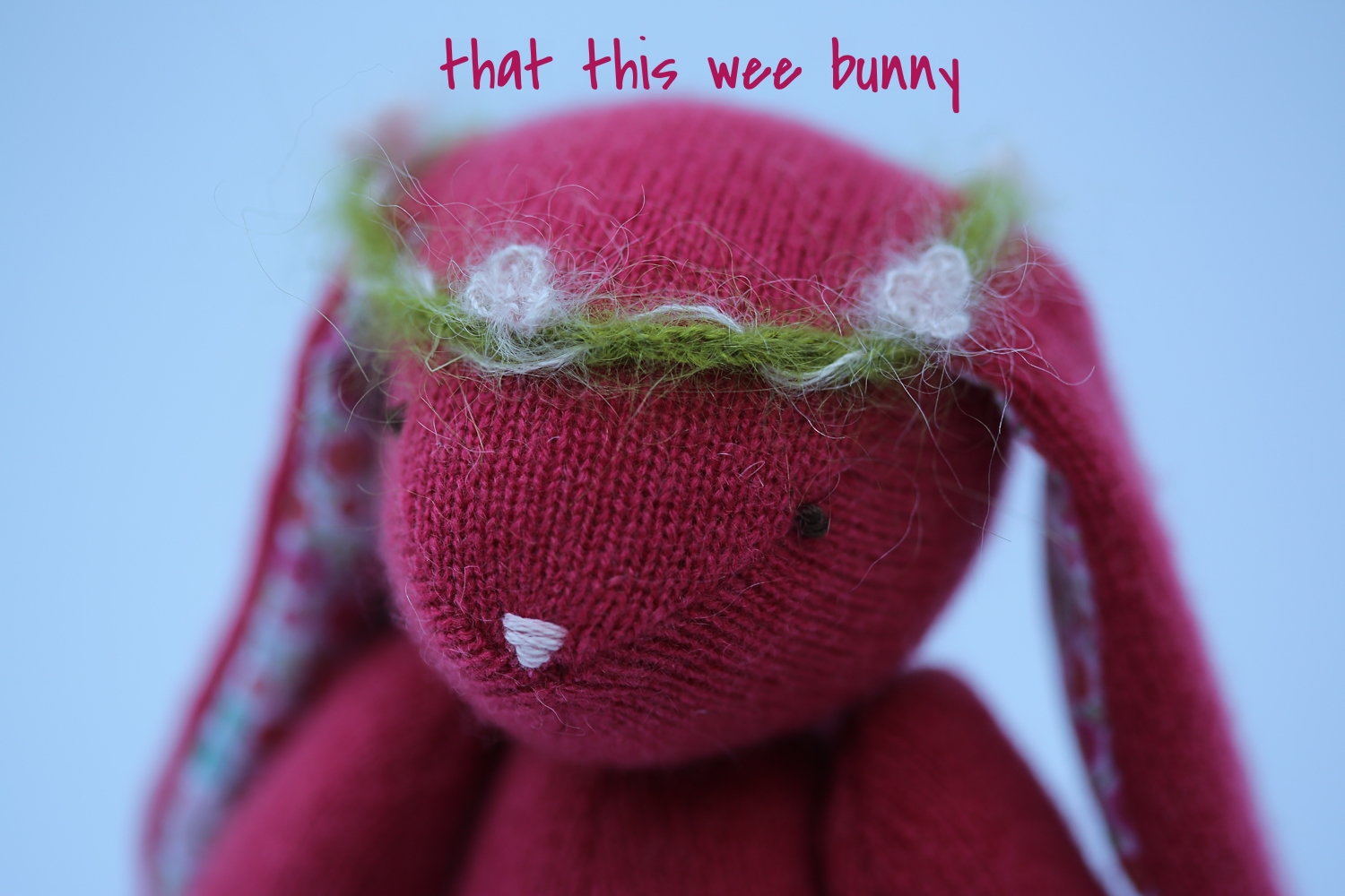 Raspberry Bunny Giveaway-3.jpg