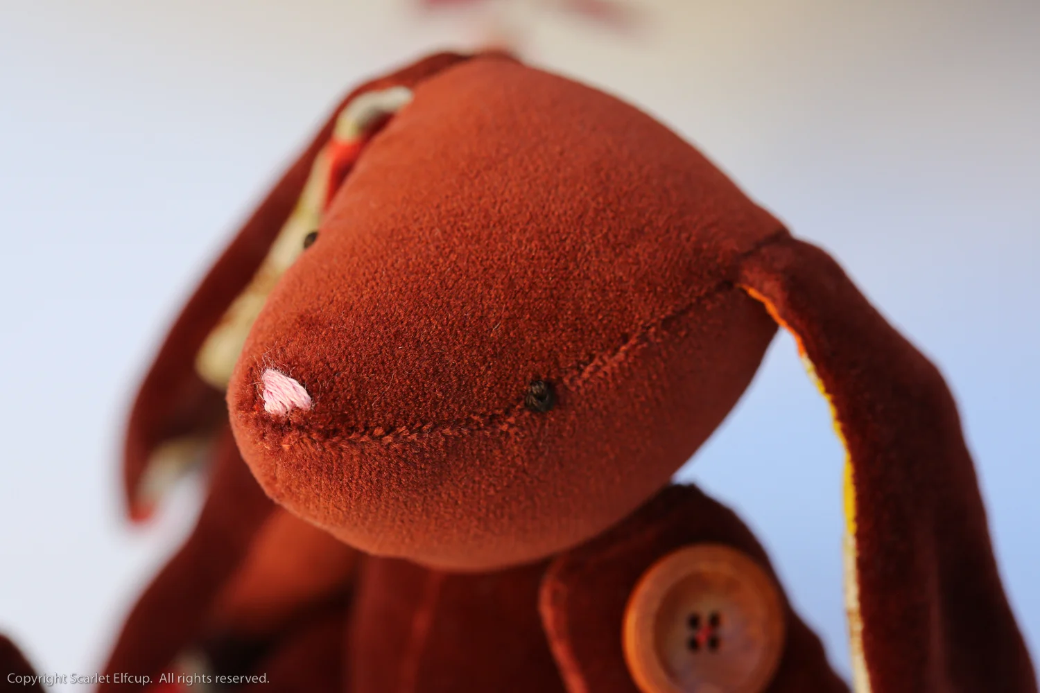 Spring Bears Spring Bunnies-20.jpg