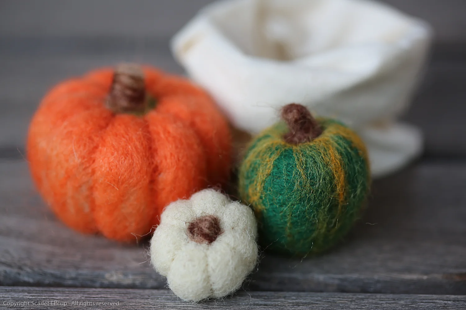 Fall Critters-32.jpg