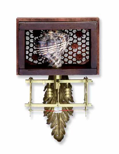 Stasis 7"x11"x4" Assemblage (teak screen, balance mechanism, butter mold frame, decorative brass, snail shell)