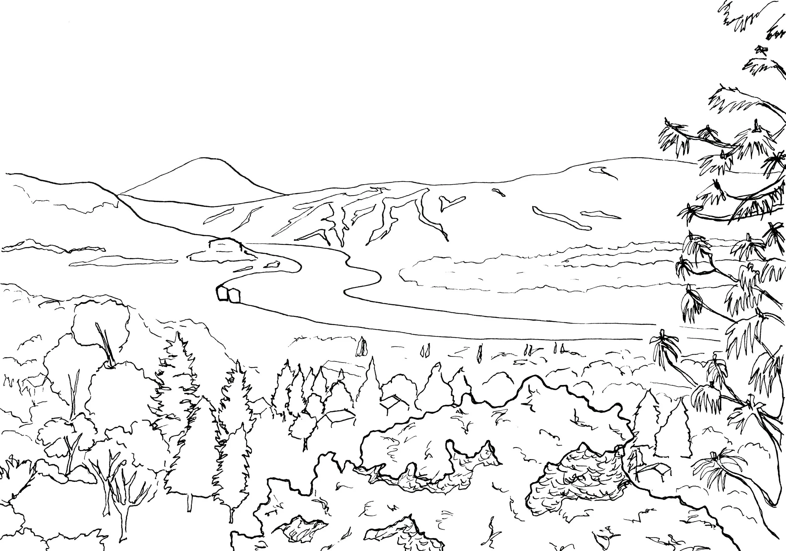 The Gorge Happiness Project - drawing from Sorosis Park 