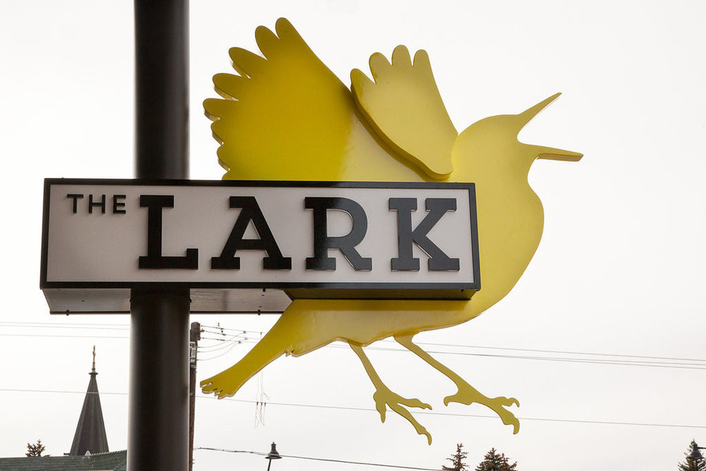 Welcome to the Lark!