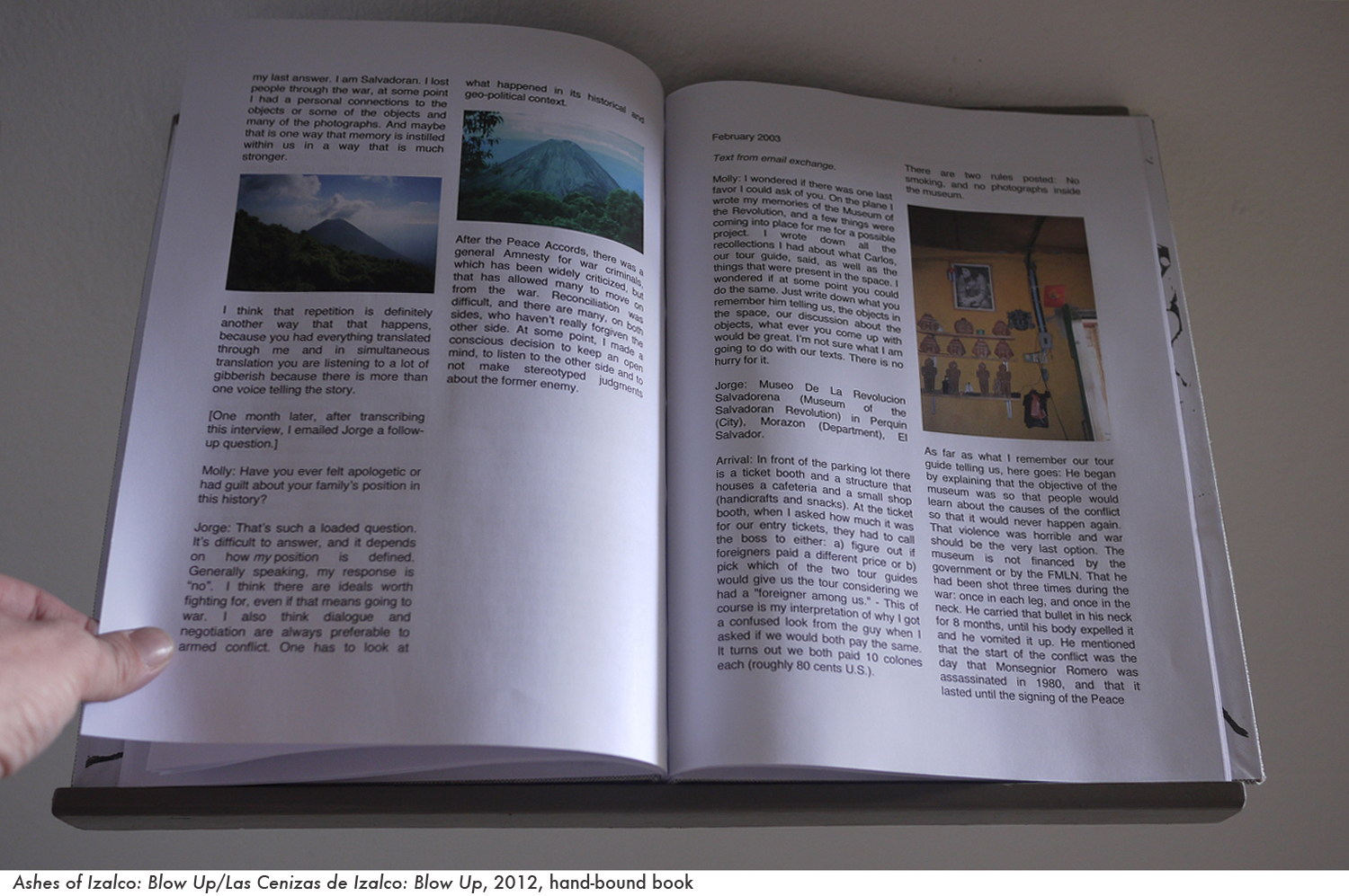 web ashes book 5.jpg
