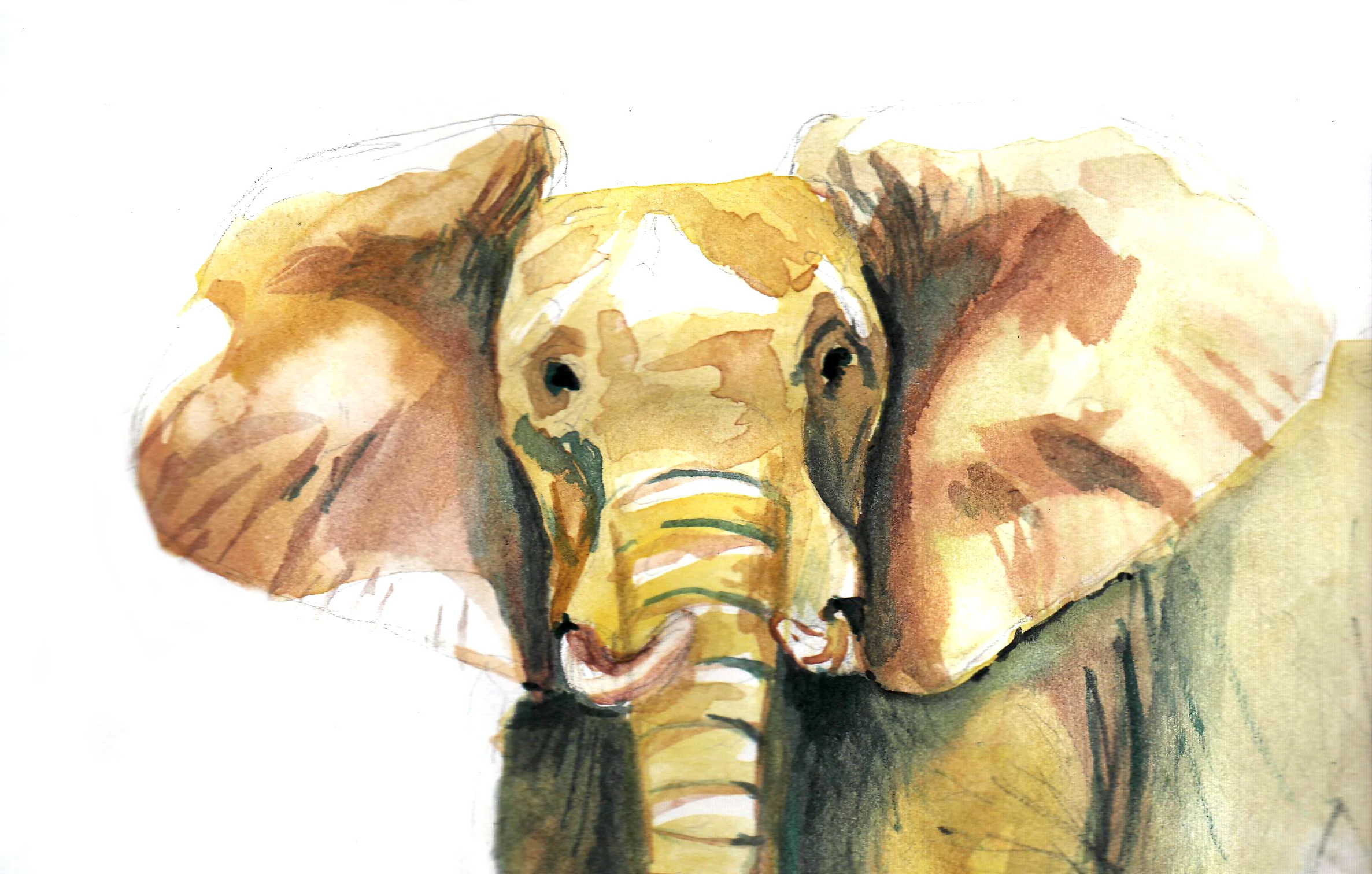 big elephant.jpg