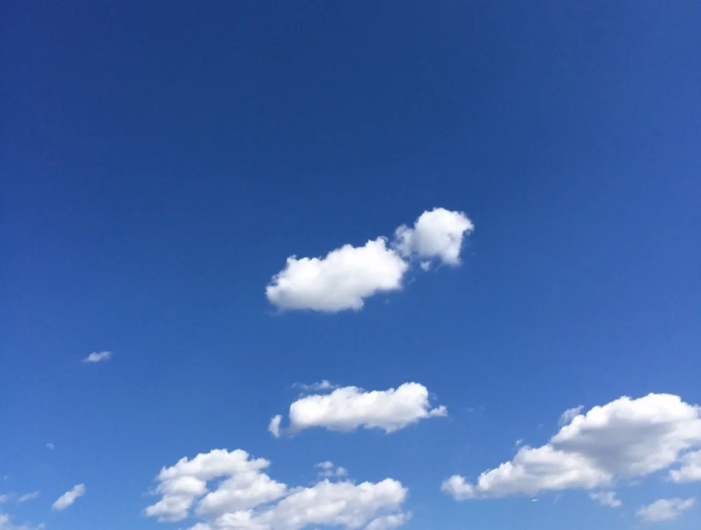 Mindfulness-Based Stress Reduction (Tuesdays 9:30am-12pm, Savasana Station)