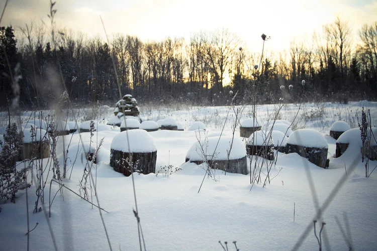 Mindfulness-Based Stress Reduction (Sundays)