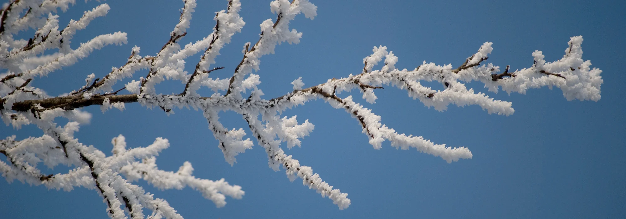 PARDES SPIRITUALITY RETREAT: AWAKENING THE DIVINE