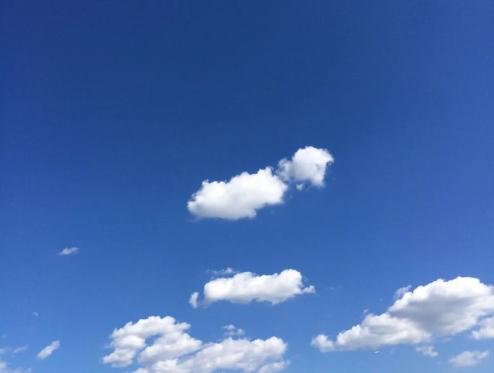 Mindfulness-Based Stress Reduction 8-Week course (January 2021 ONLINE)