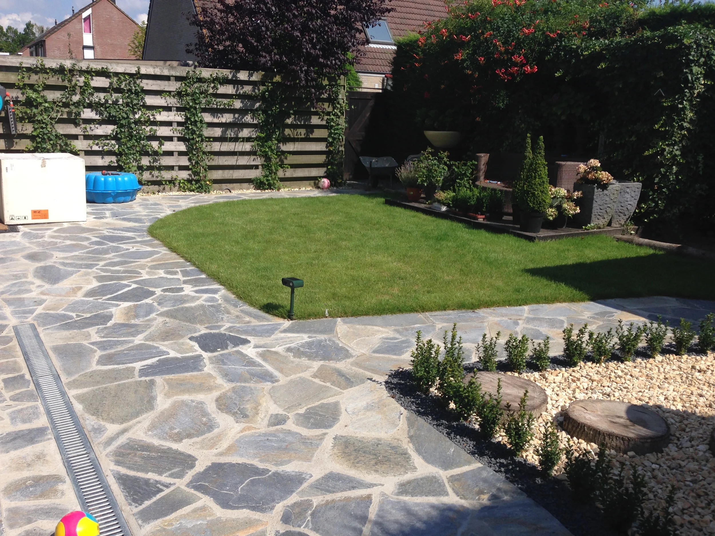 Rock Solid Blue (sikis) Flagstones