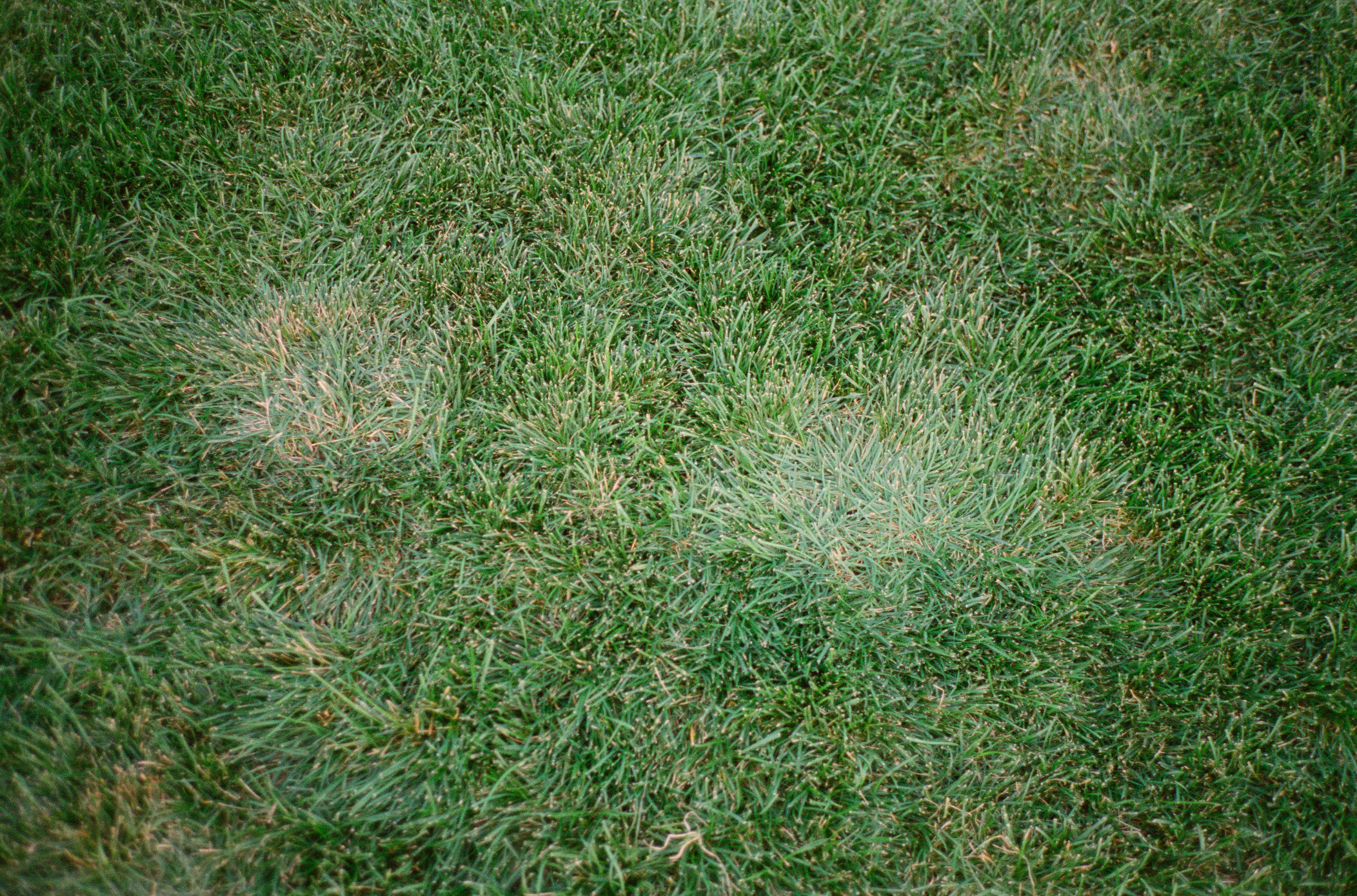 Screen Shot 2026-01-31 at 3.47.09 PM.png