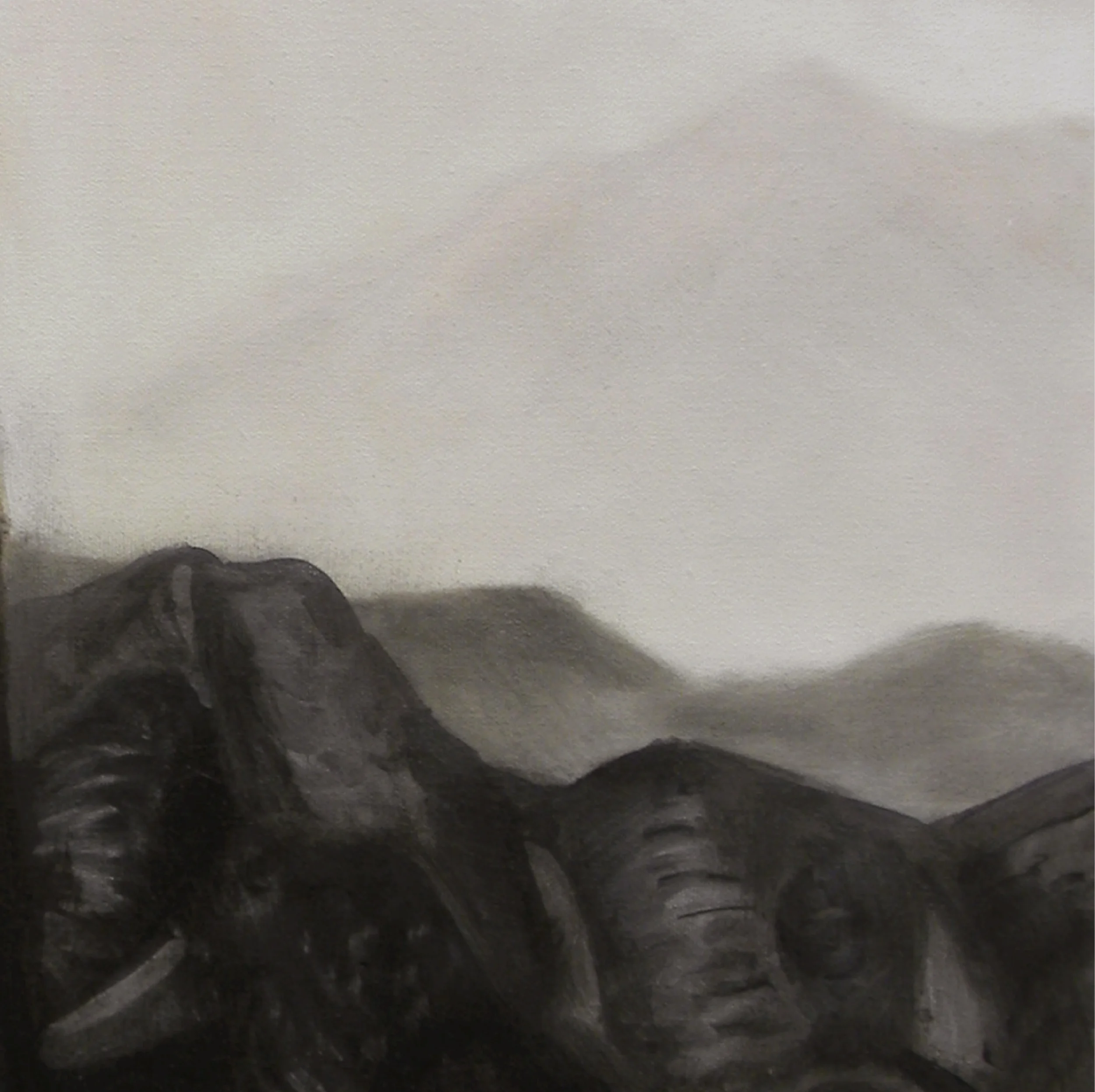 elephant hill.psd-03.jpg