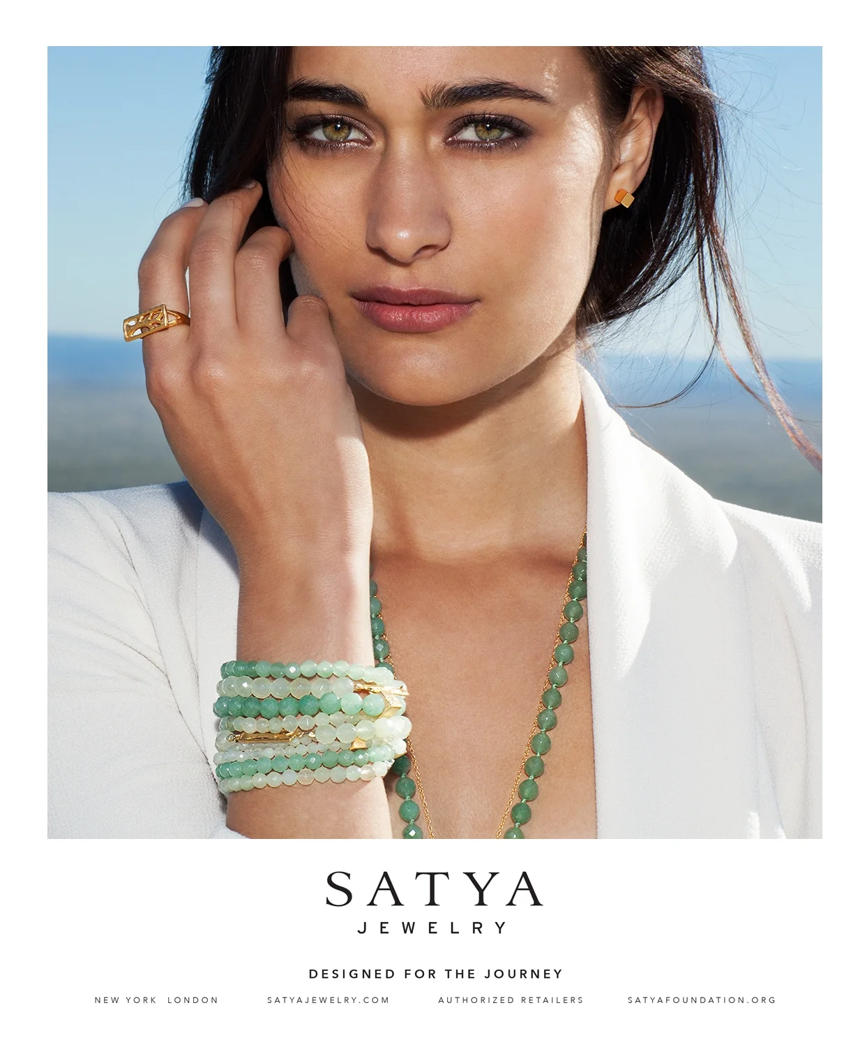 Satya_spring14_08.jpg