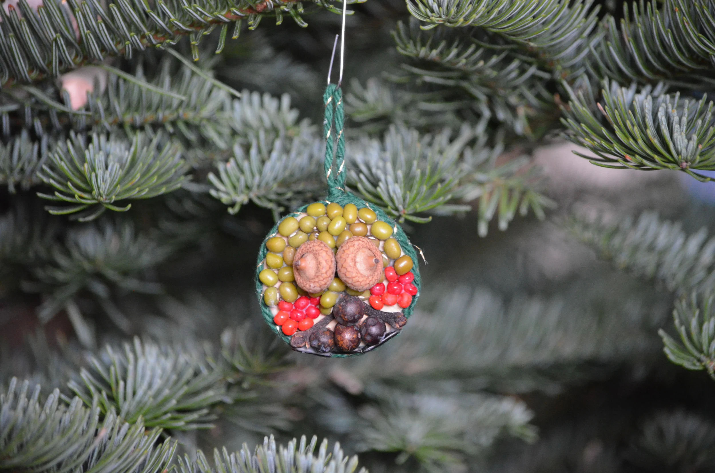 Homemade Christmas Ornament