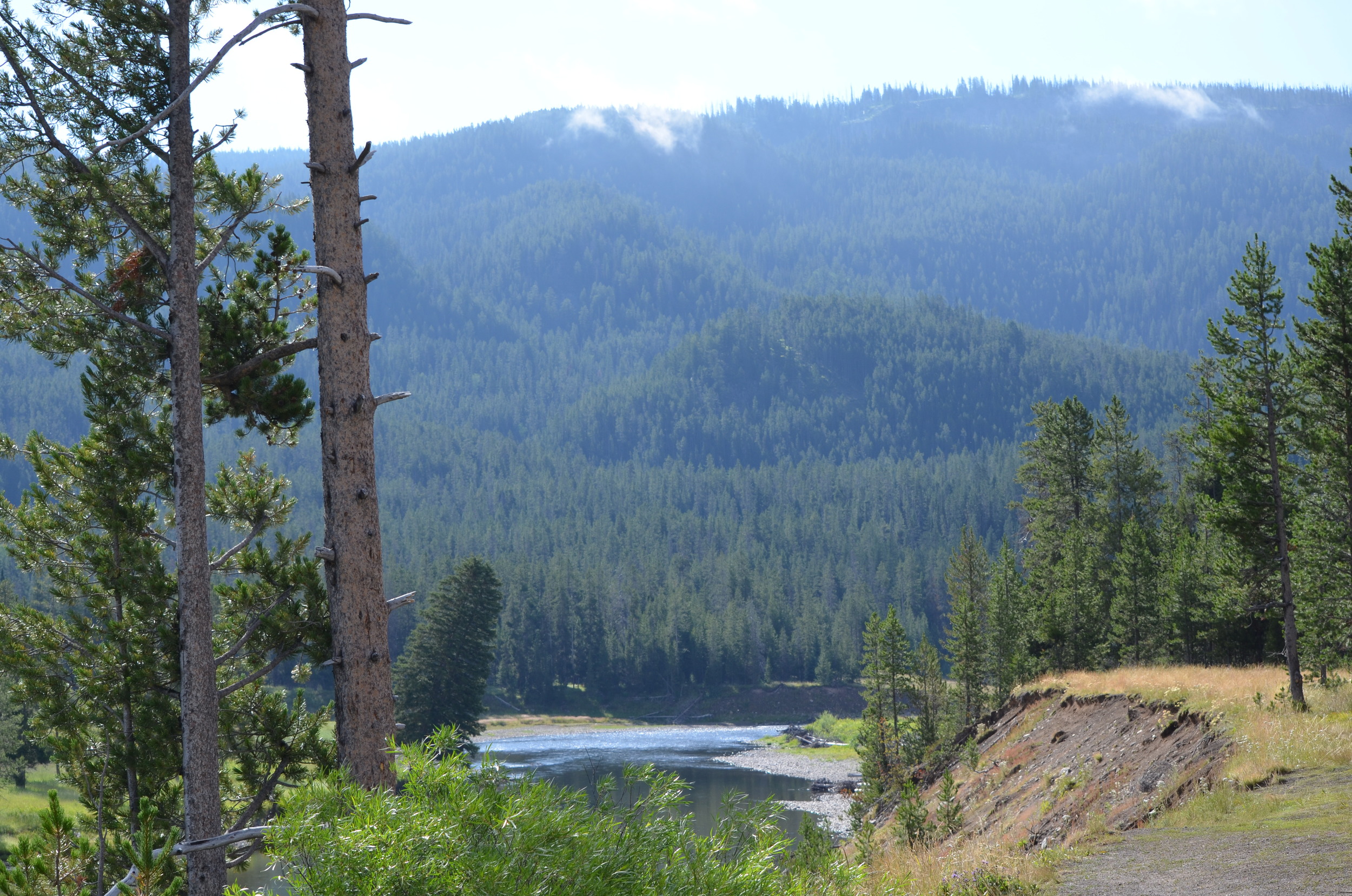 Yellowstone South Entrance / warporweft.com