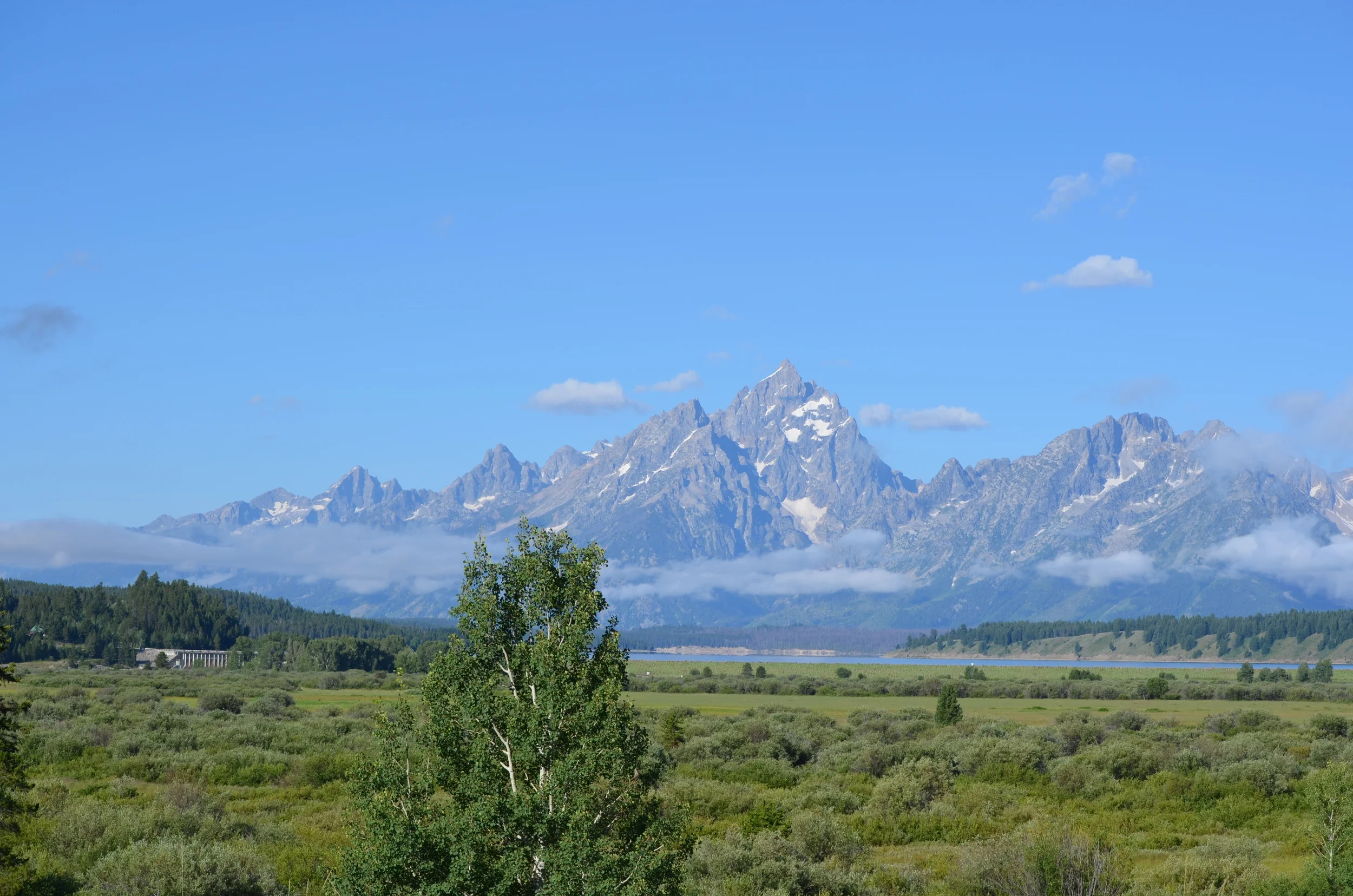 Our Trip to Wyoming and Local Yarn