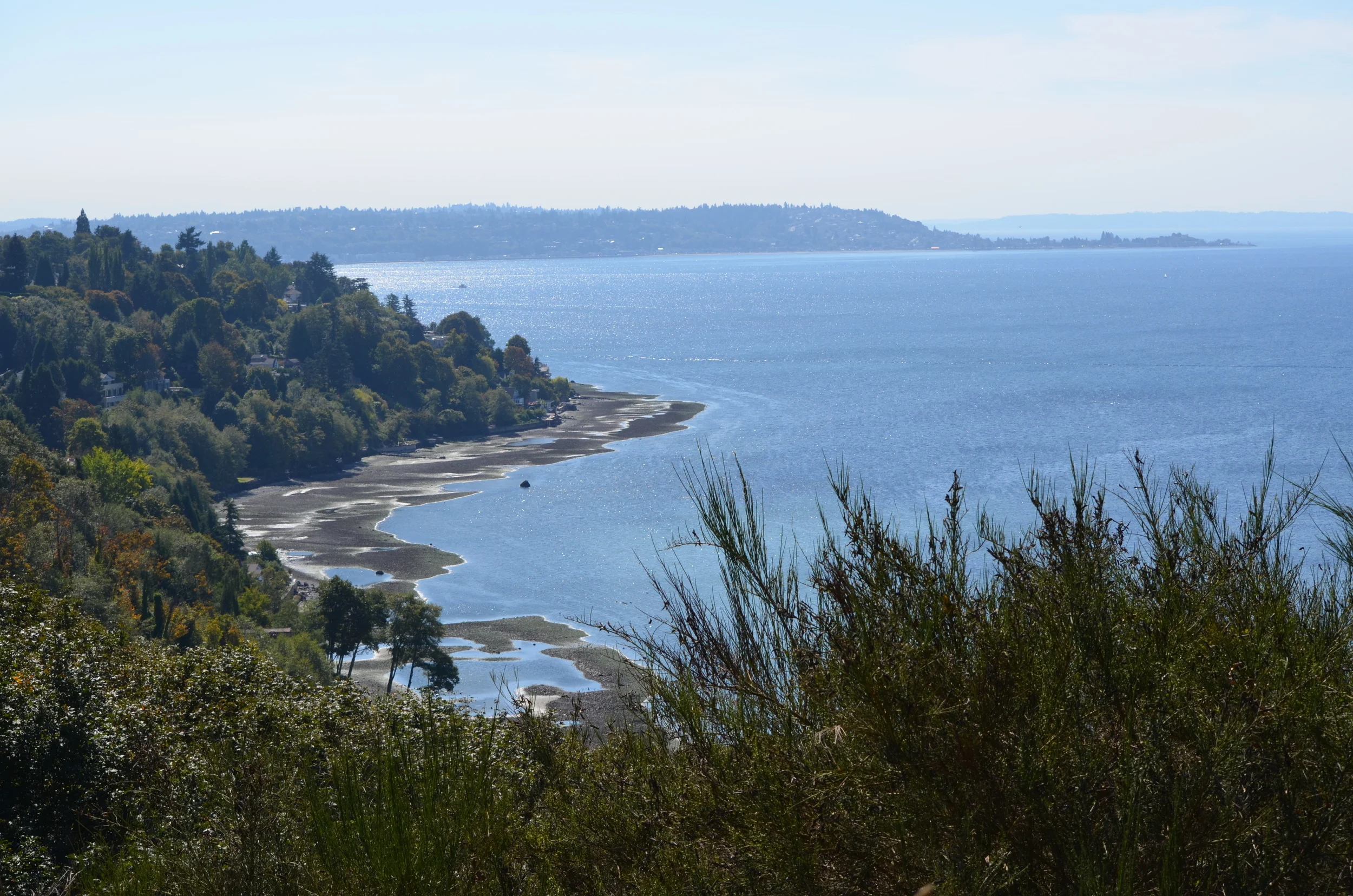 Discovery Park Beach